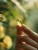 Biowen-Witamina-D3-i-K2-90-kapsulek-3.webp